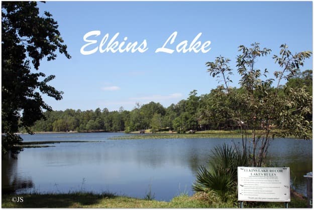 Residential Review: Elkins Lake